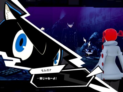 Atlus Starts Poll for Most Popular Game Cat