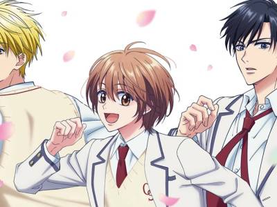 Hana-Kimi Finally Inspiring an Anime Adaptation