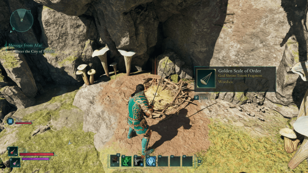 Avowed Woedica Totem Scale of Order