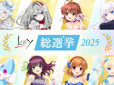 Key General Election 2025 polls top visual novels