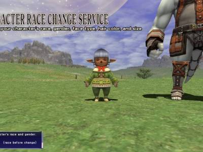 Paid FFXI Character Race Change Service Coming