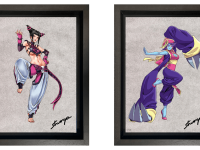 Street Fighter and Darkstalkers Bishoujo Juri and Hsien-Ko Merchandise Shared
