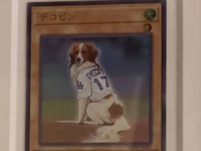 Shohei Ohtani Got a Yu-Gi-Oh Card of His Dog Decoy dekopin