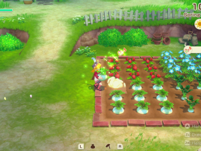 Preview: Story of Seasons: Grand Bazaar Possesses a Sense of Purpose