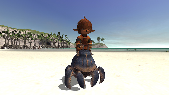 Final Fantasy XI Login Campaign Changes Detailed ffxi mmorpg
