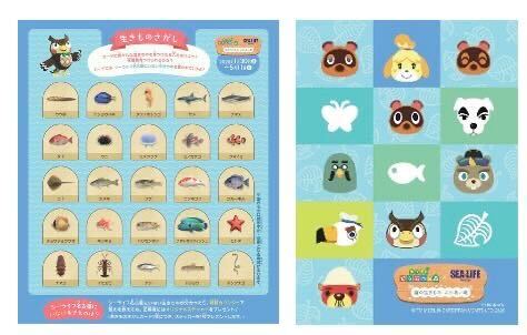 Animal Crossing New Horizons - Sea Life Nagoya Aquarium activity 1 - quiz sheet