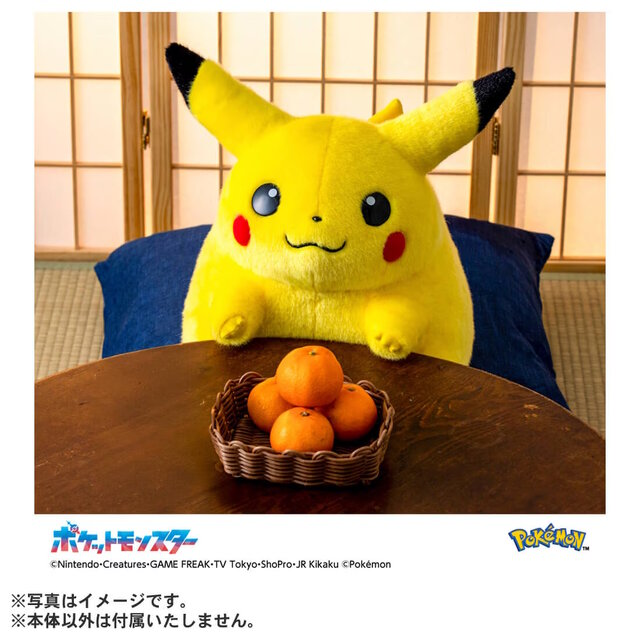 chonkachu fat pikachu plush 4