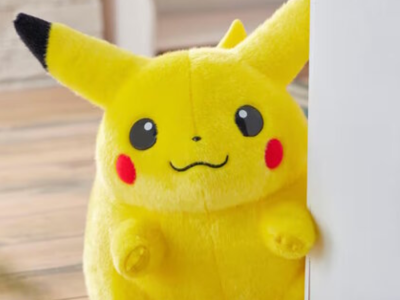 chonkachu pokemon plush re-run