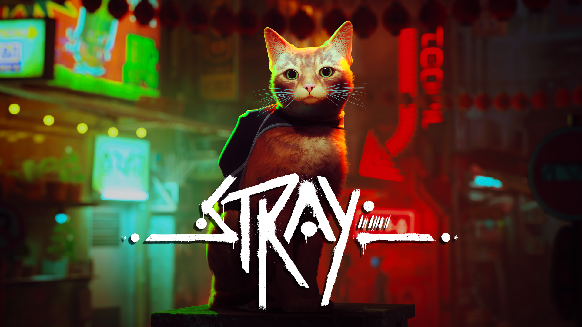 Review: Stray Ends Up Being a Solid Switch 2 Game cat
