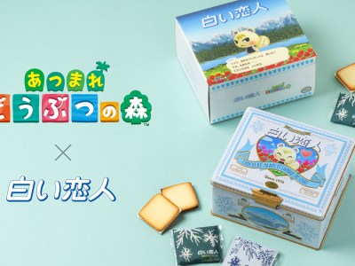 Hokkaido Chocolat Blanc et Langue de Chat featuring Jun or Marshal from Animal Crossing