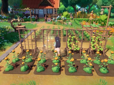 1.0 Starsand Island Release Coincides With Switch 2 and PS5 Debut