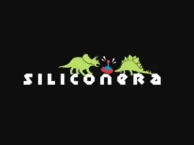 It’s Time for Siliconera’s 2026 Site Survey